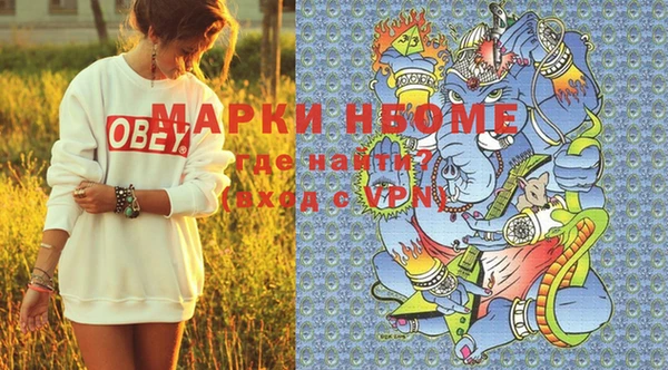 ГАЛЛЮЦИНОГЕННЫЕ ГРИБЫ Пестово