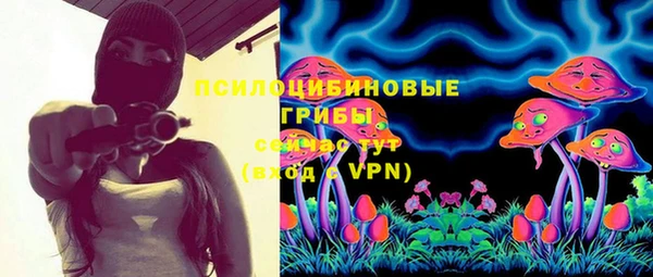 ГАЛЛЮЦИНОГЕННЫЕ ГРИБЫ Пестово