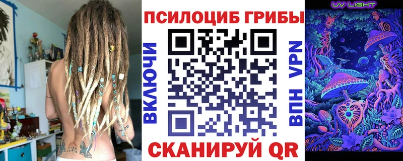Псилоцибиновые грибы Psilocybine cubensis  Асино 