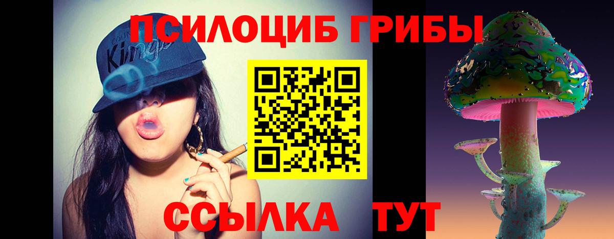 Галлюциногенные грибы Cubensis  Галлюциногенные грибы Cubensis  Вход с VPN  Асино 