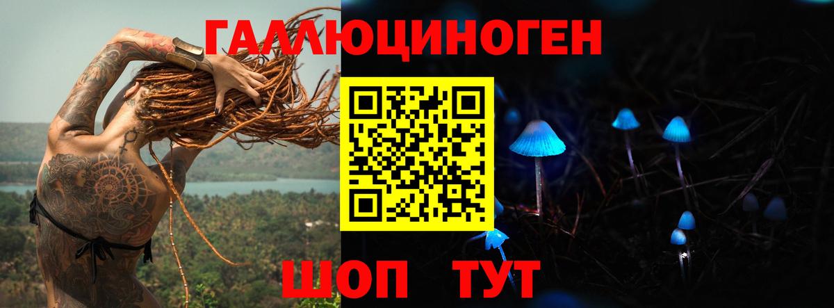Псилоцибиновые грибы мицелий Асино