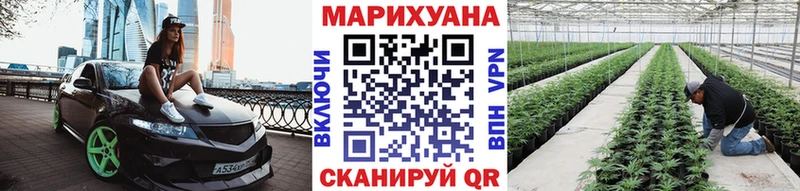 наркотики  Асино  МАРИХУАНА SATIVA & INDICA 